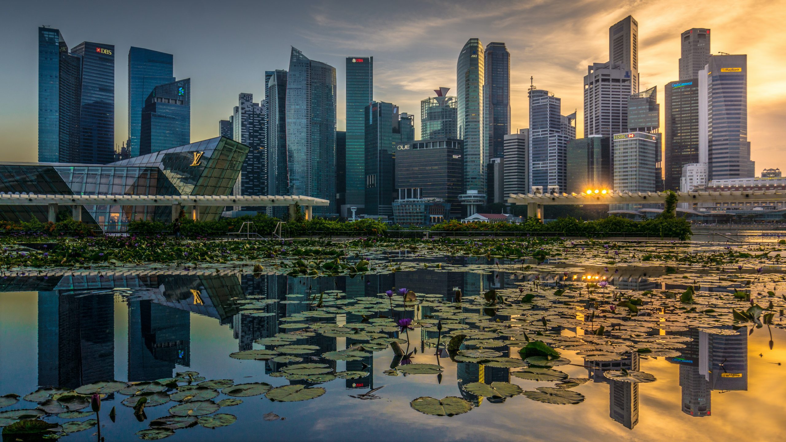 Singapore Skyline